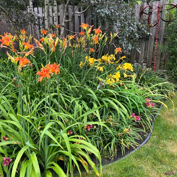 Meet your Posher, Sandra - Picture 11 of 13